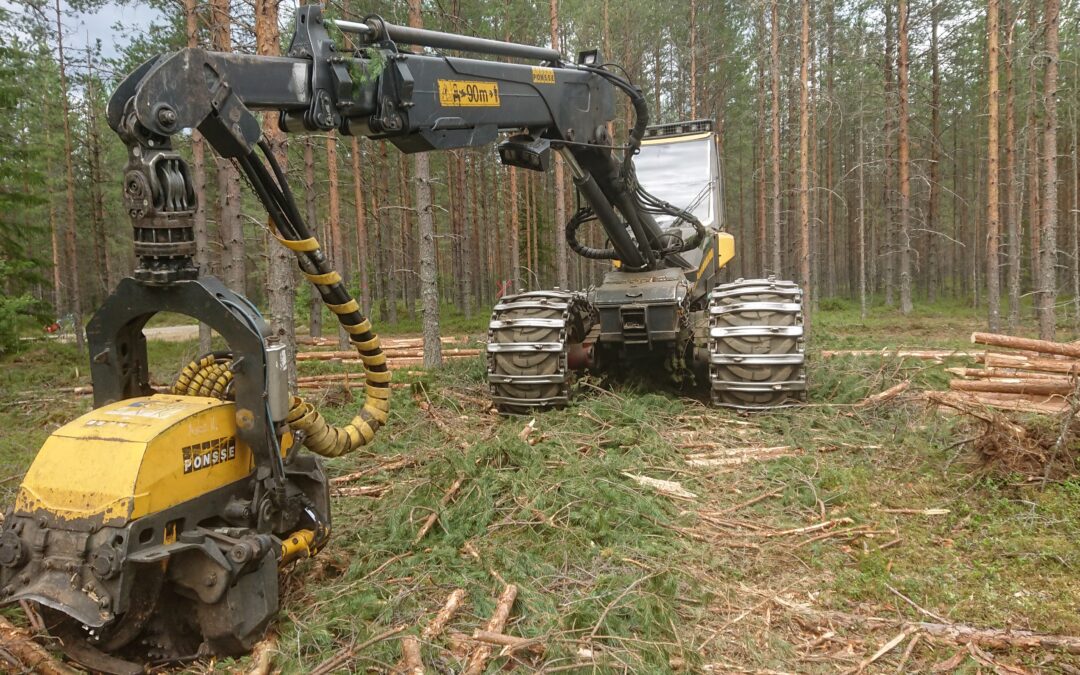 Pelastetaan hiilinielut – vähemmän puuta tehokkaampaan käyttöön