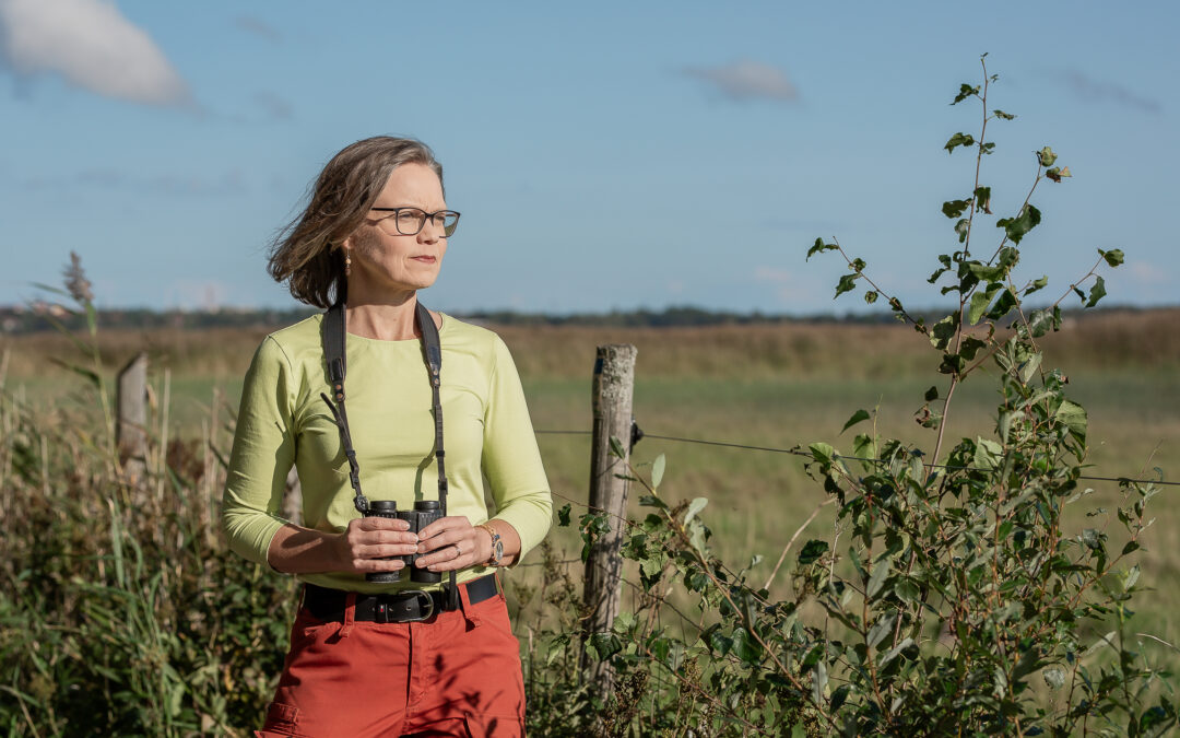 Puhe hallituksen julkisen talouden suunnitelmasta