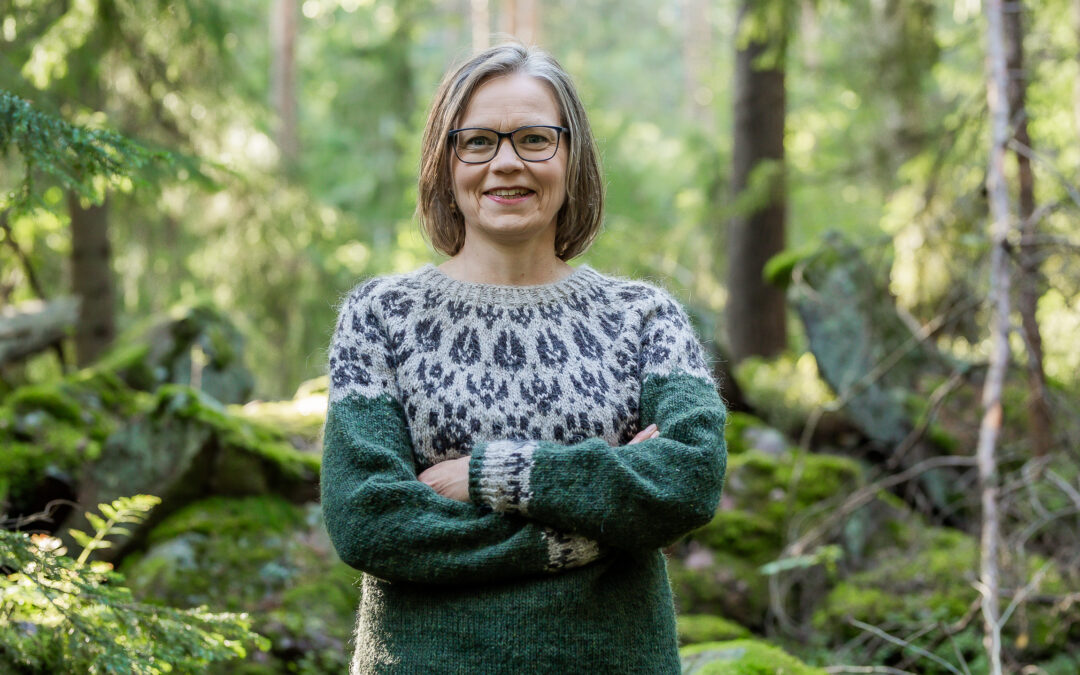 Metsäluonnon tuhoamiselle on asetettava rajat – tällainen on Vihreiden metsälakipaketti